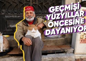 Türkler Olarak Hayvanları Neden Bu Kadar Çok Seviyoruz?