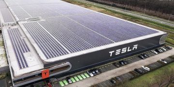 Tesla artık de bütçe dostu modelini satışa sunuyor! Musk coştu bir kere!